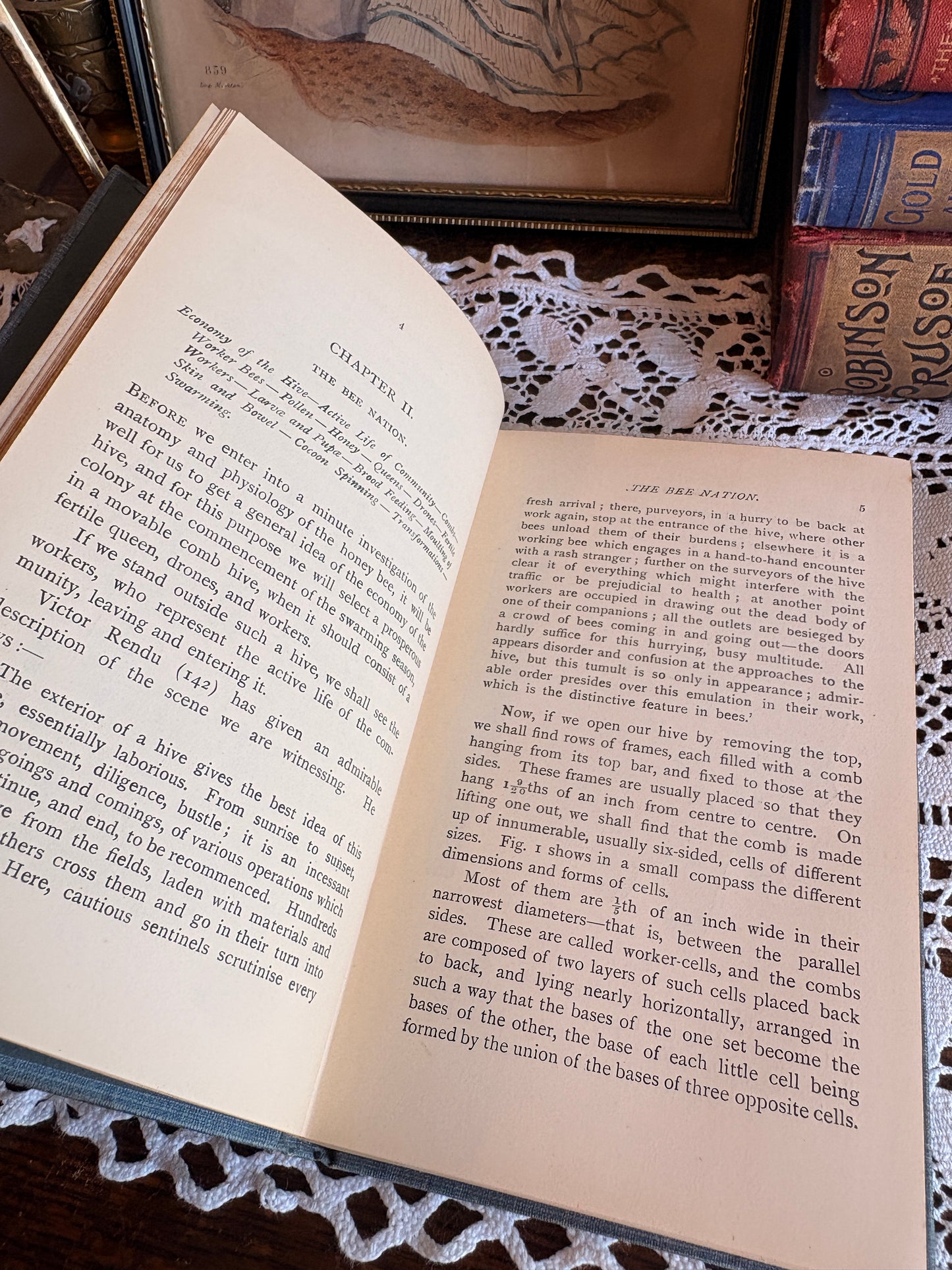 1904 The Honey Bee: Its Natural History, Anatomy, and Physiology by T. W. Cowan