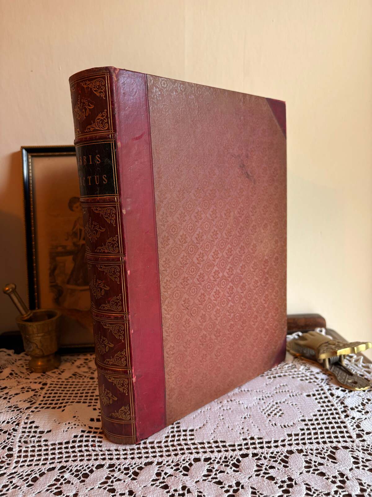 1851 Payne's Orbis Pictus by Albert Henry Payne