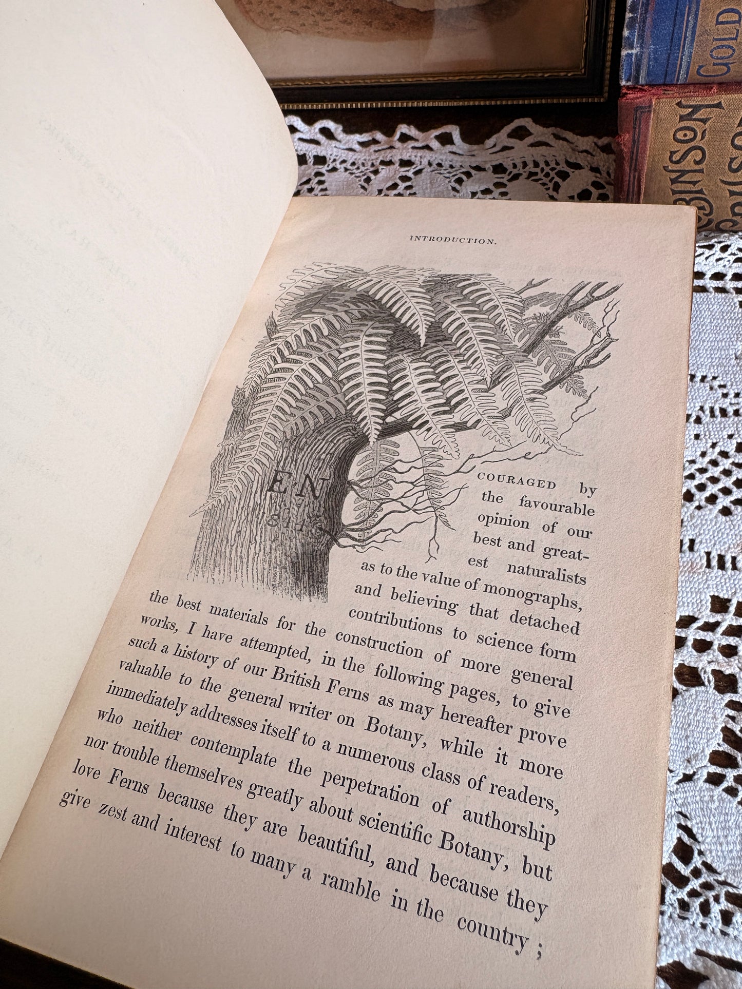 1844 A History of British Ferns and Allied Plants by Edward Newman - Rebacked