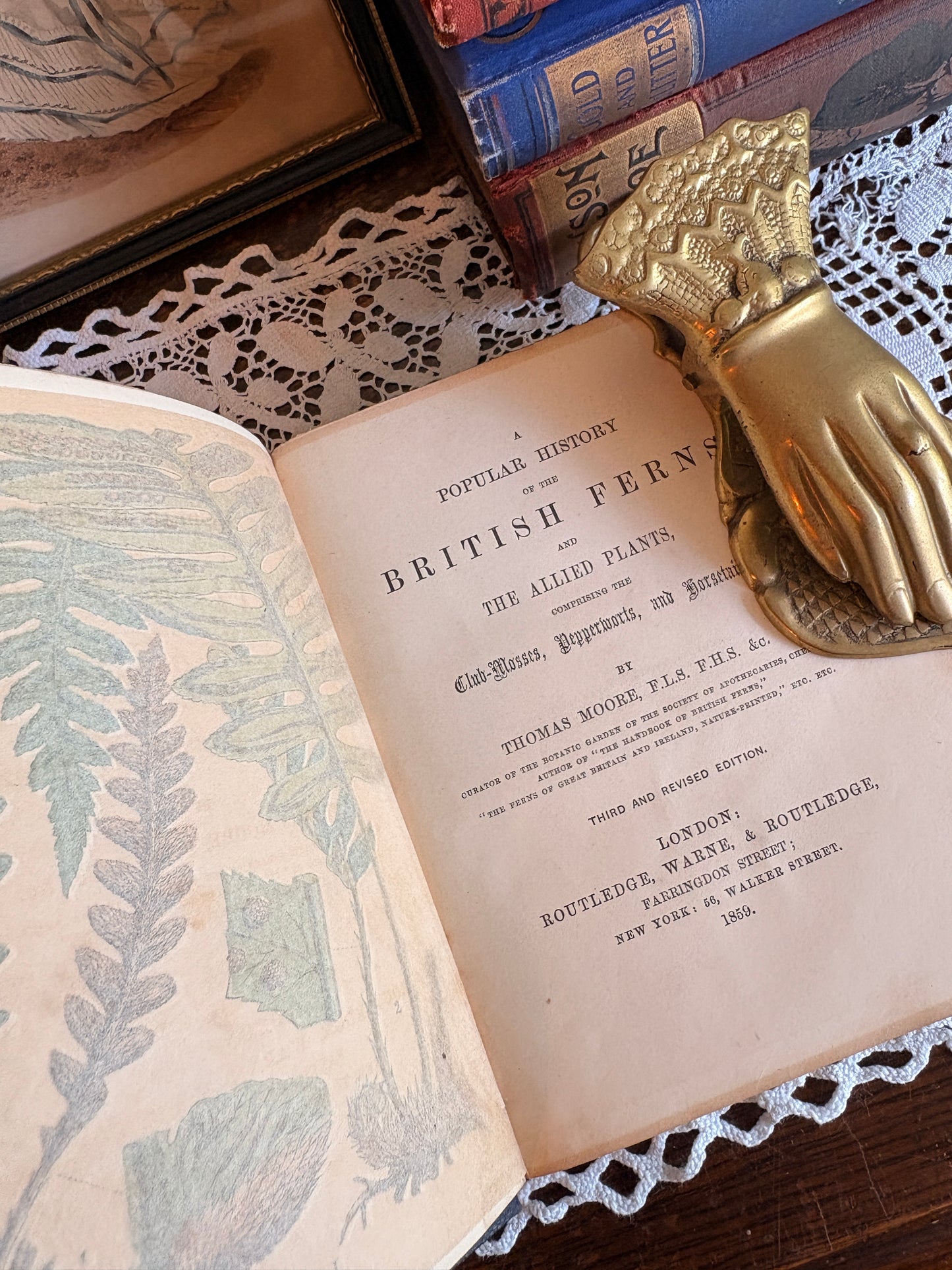 1859 A Popular History of the British Ferns and the Allied Plants, Comprising the Club-Missed, Pepperworts, and Horsetails