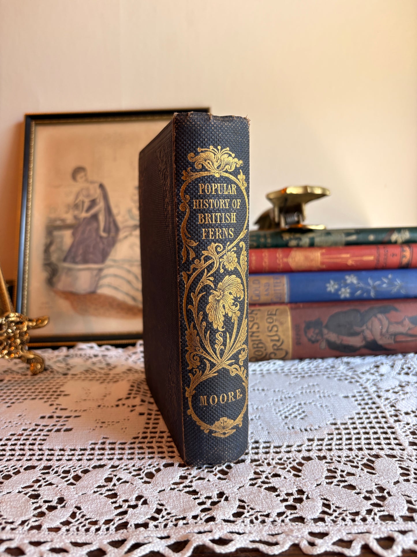 1859 A Popular History of the British Ferns and the Allied Plants, Comprising the Club-Missed, Pepperworts, and Horsetails