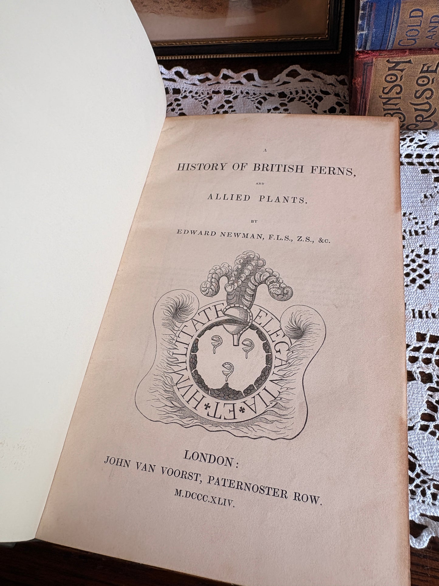 1844 A History of British Ferns and Allied Plants by Edward Newman - Rebacked