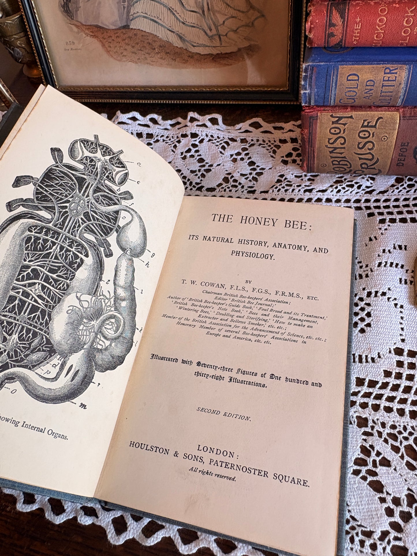 1904 The Honey Bee: Its Natural History, Anatomy, and Physiology by T. W. Cowan