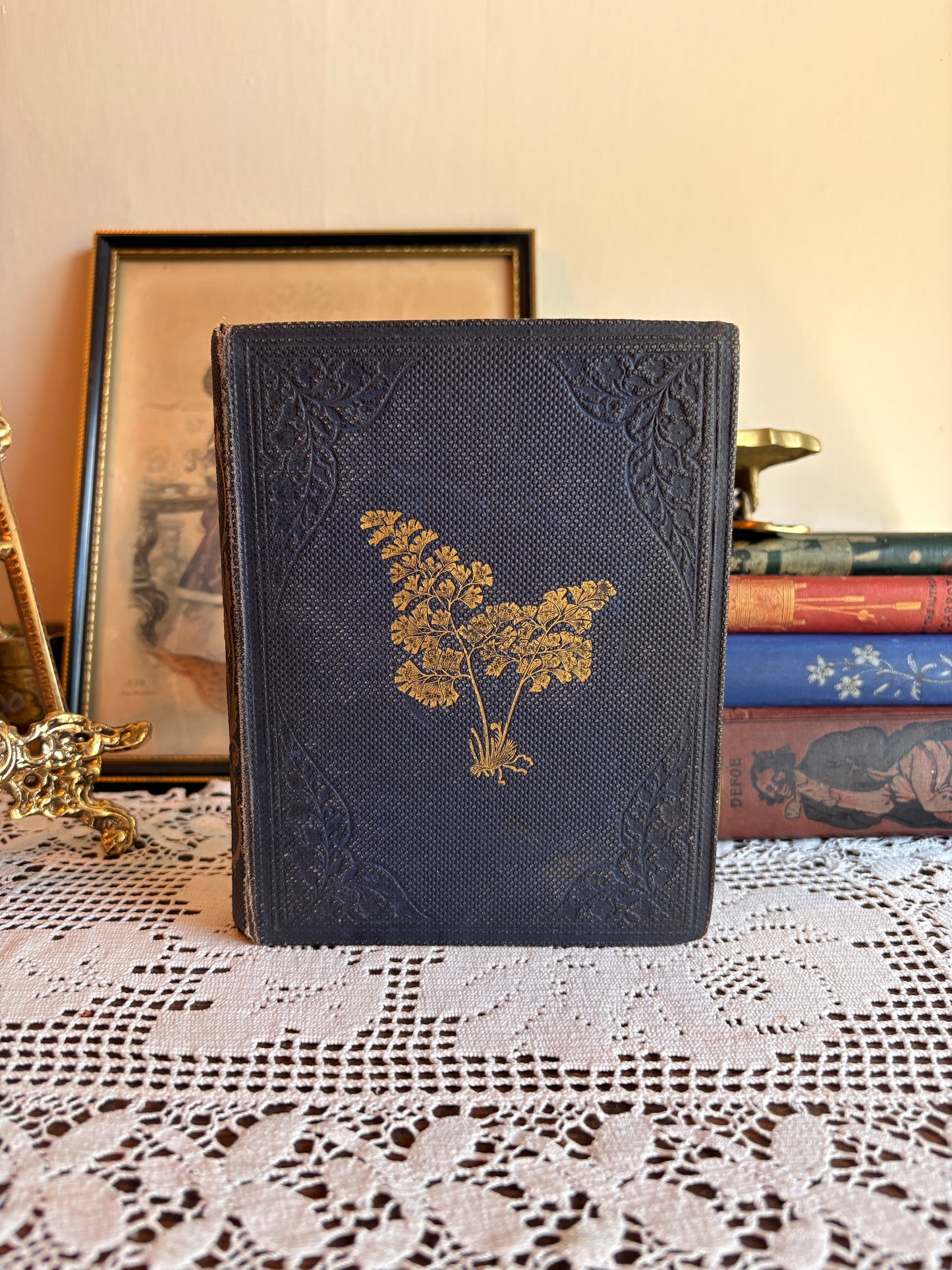 1859 A Popular History of the British Ferns and the Allied Plants, Comprising the Club-Missed, Pepperworts, and Horsetails
