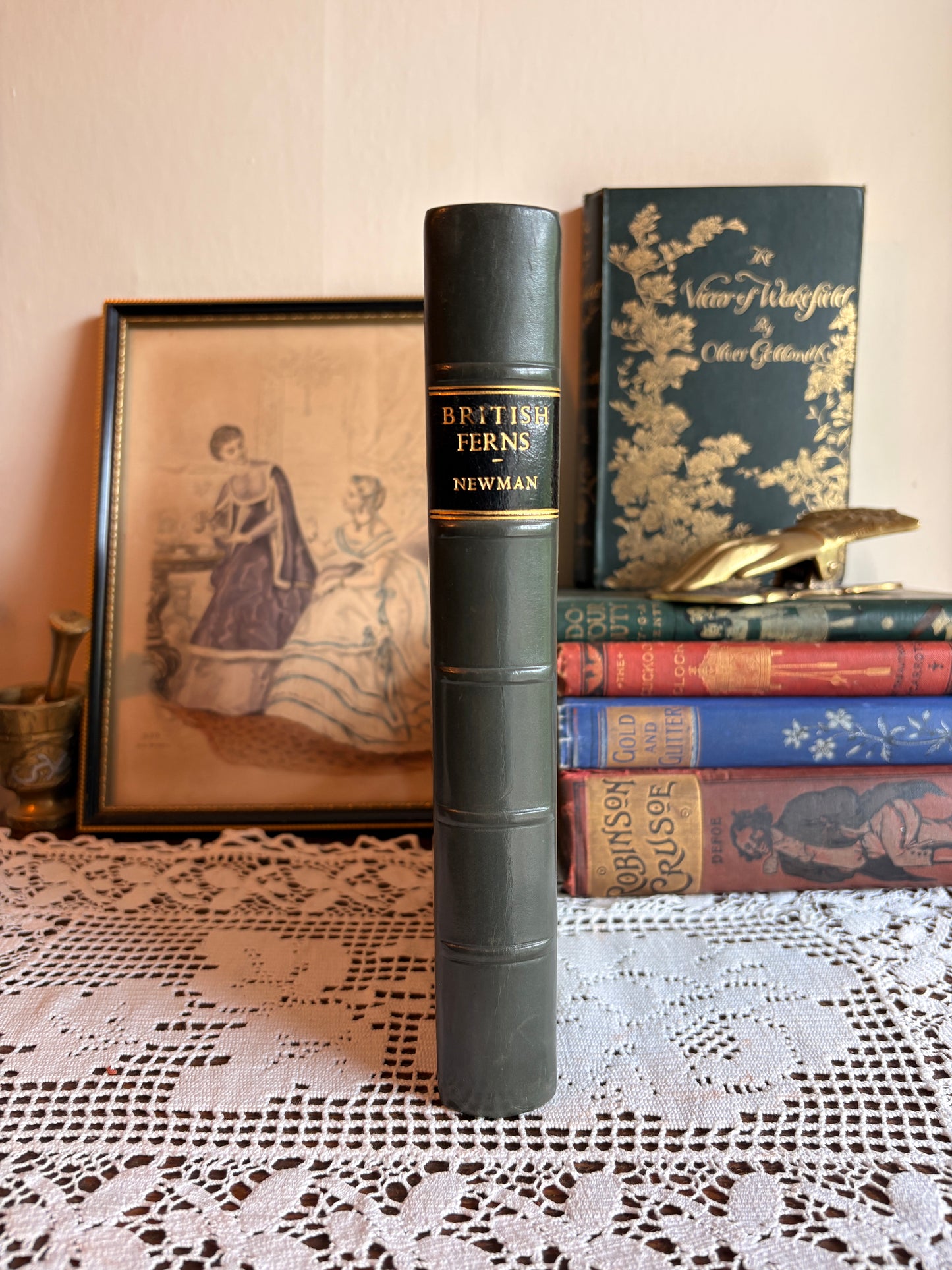 1844 A History of British Ferns and Allied Plants by Edward Newman - Rebacked