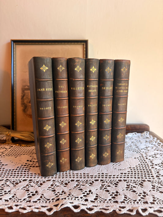 1920 The Works of the Bronte Sisters [Jane Eyre, The Professor, Villette, Wuthering Heights, Shirley, The Tenant of Wildfell Hall, Agnes Grey]. Illustrated by Dulac.