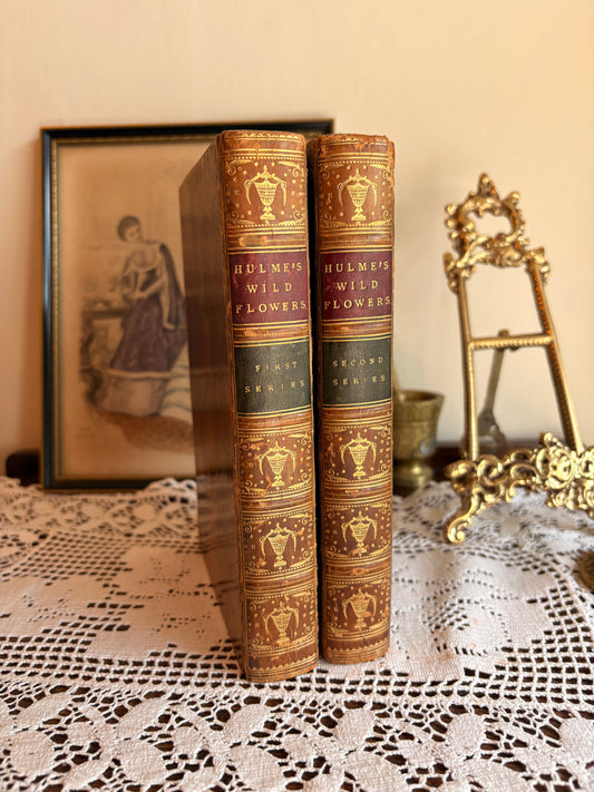 C1895 Familiar Wild Flowers by F. Edward Hulme [First and Second Series]