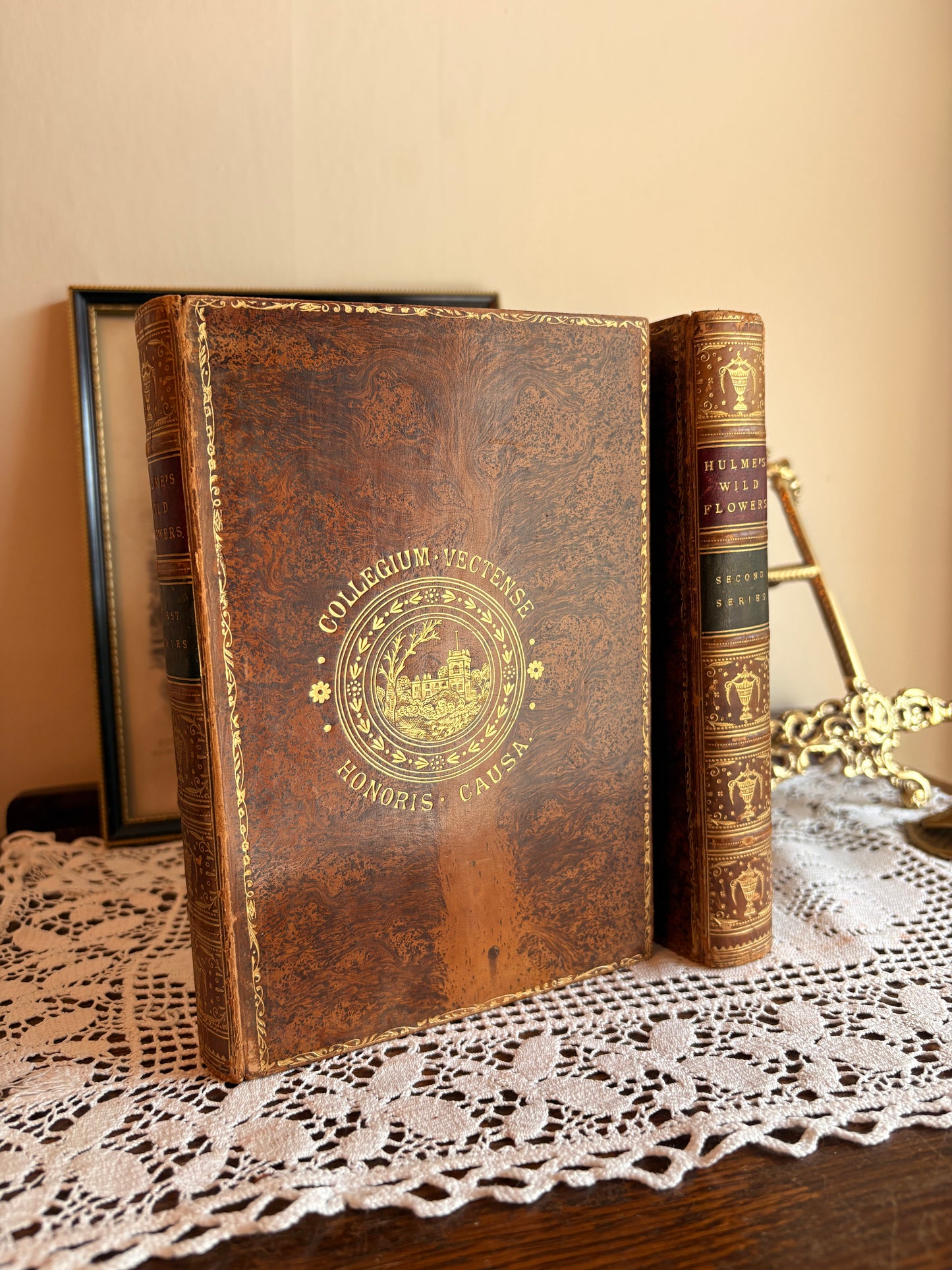 C1895 Familiar Wild Flowers by F. Edward Hulme [First and Second Series]