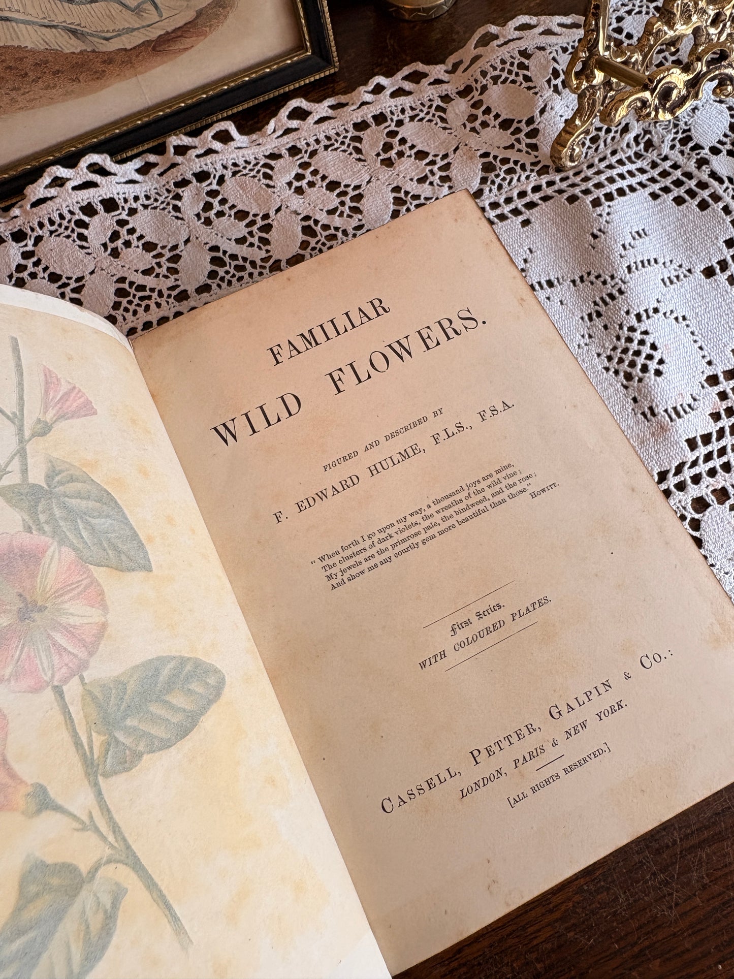 C1895 Familiar Wild Flowers by F. Edward Hulme [First and Second Series]