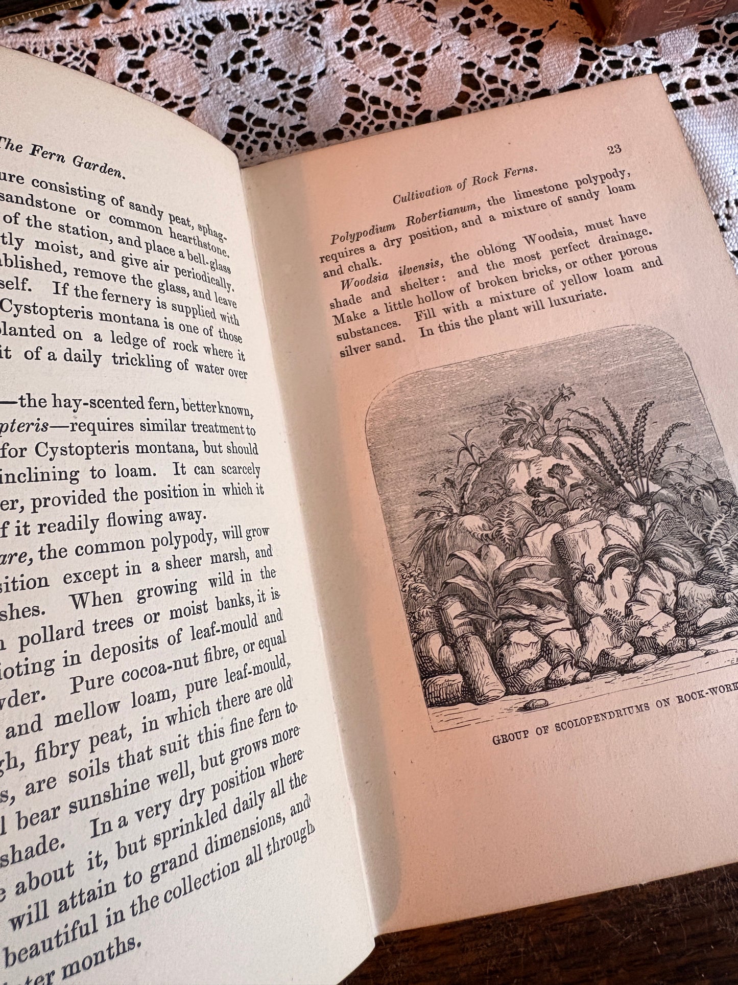 1875 The Fern Garden How To Make, Keep, and Enjoy it. Or Fern Culture Made Easy by Shirley Hibberd