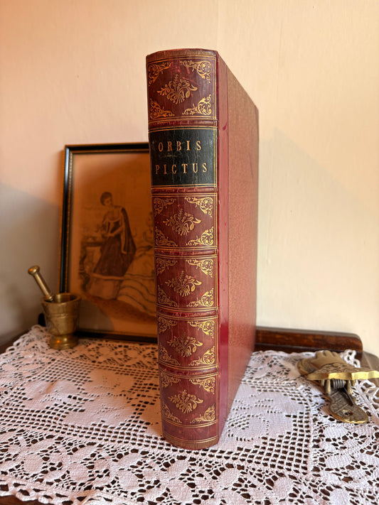 1851 Payne's Orbis Pictus or Book of Beauty for Every Table by Albert Henry Payne