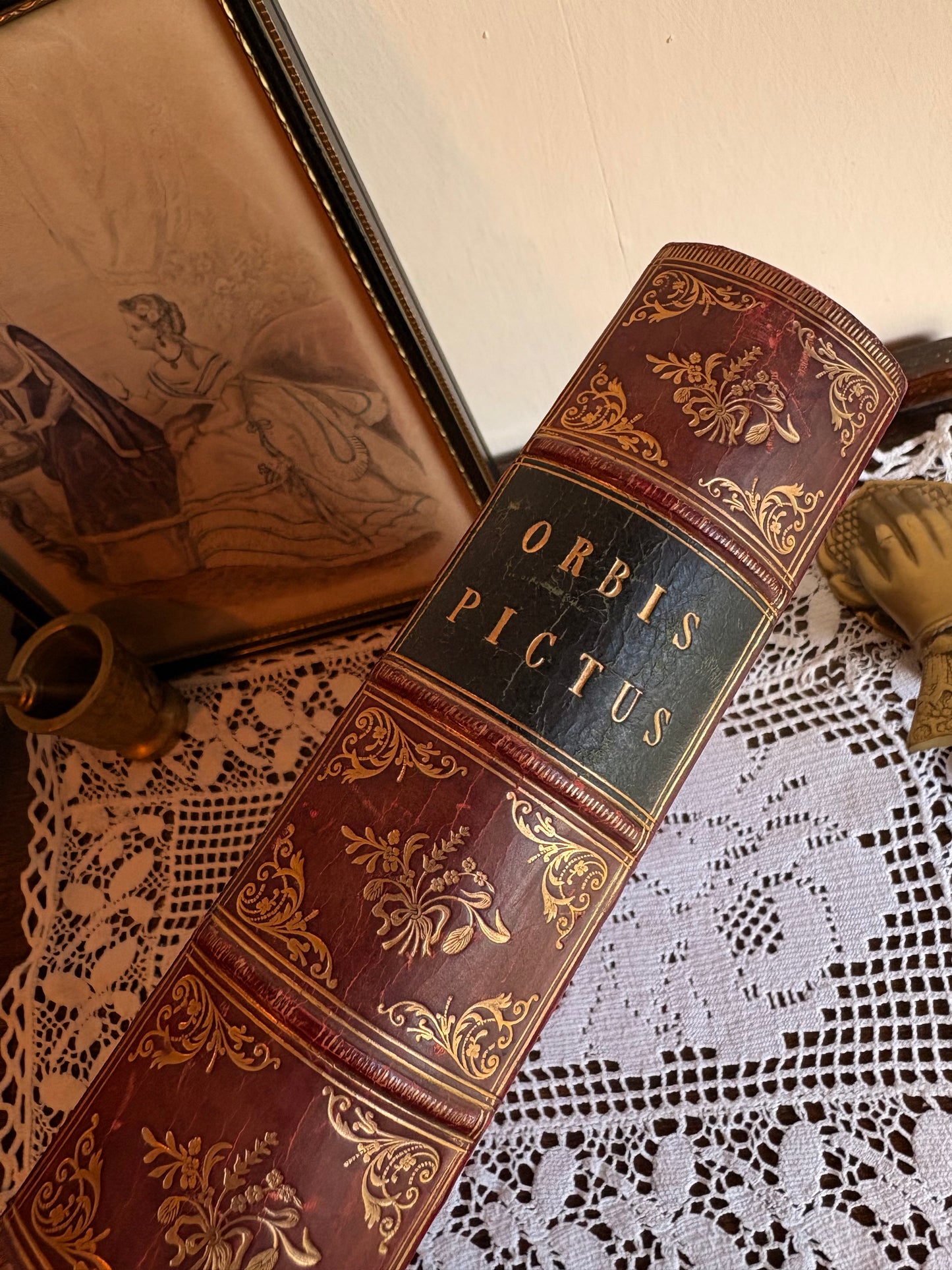 1851 Payne's Orbis Pictus or Book of Beauty for Every Table by Albert Henry Payne