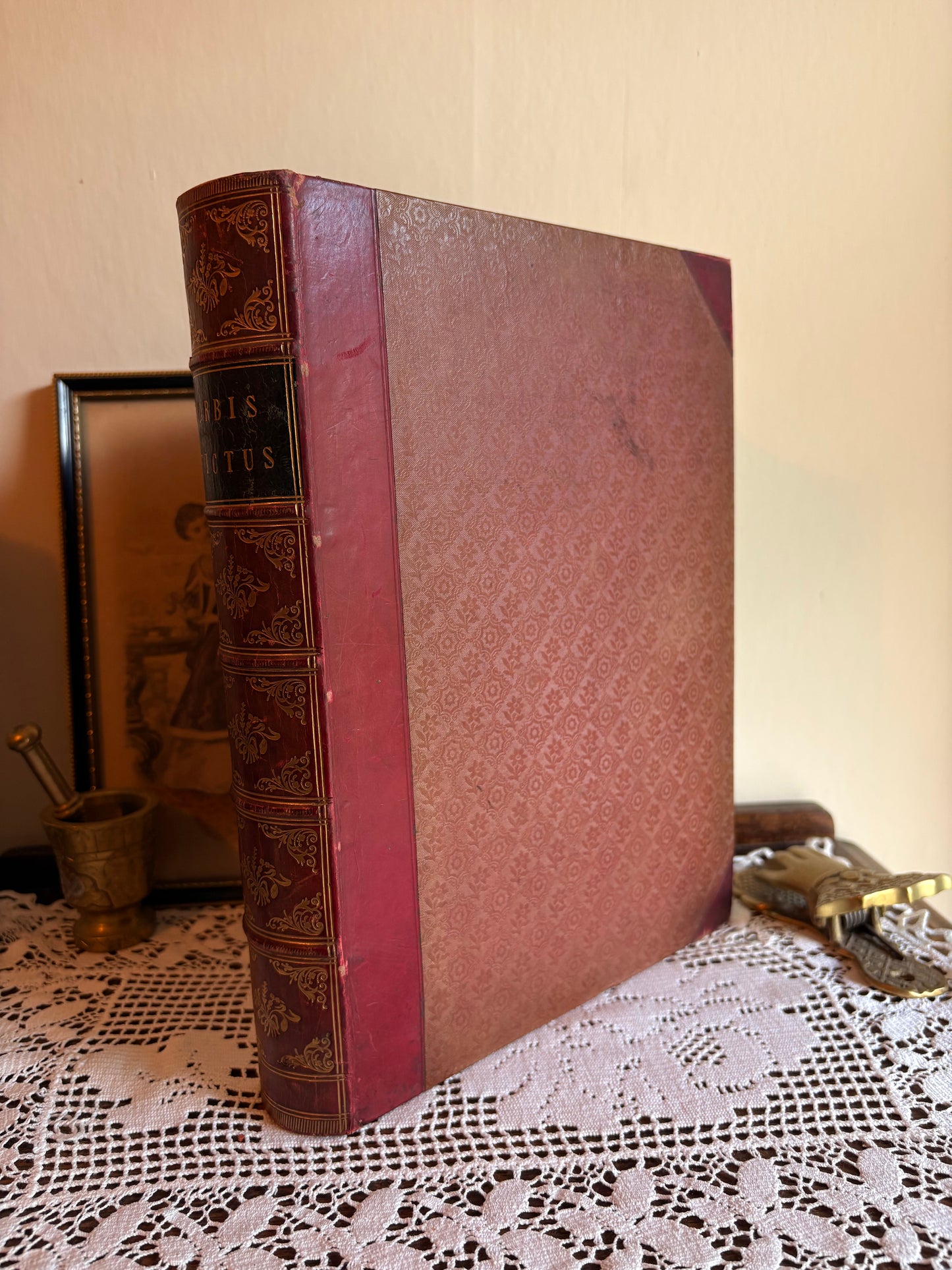 1851 Payne's Orbis Pictus or Book of Beauty for Every Table by Albert Henry Payne