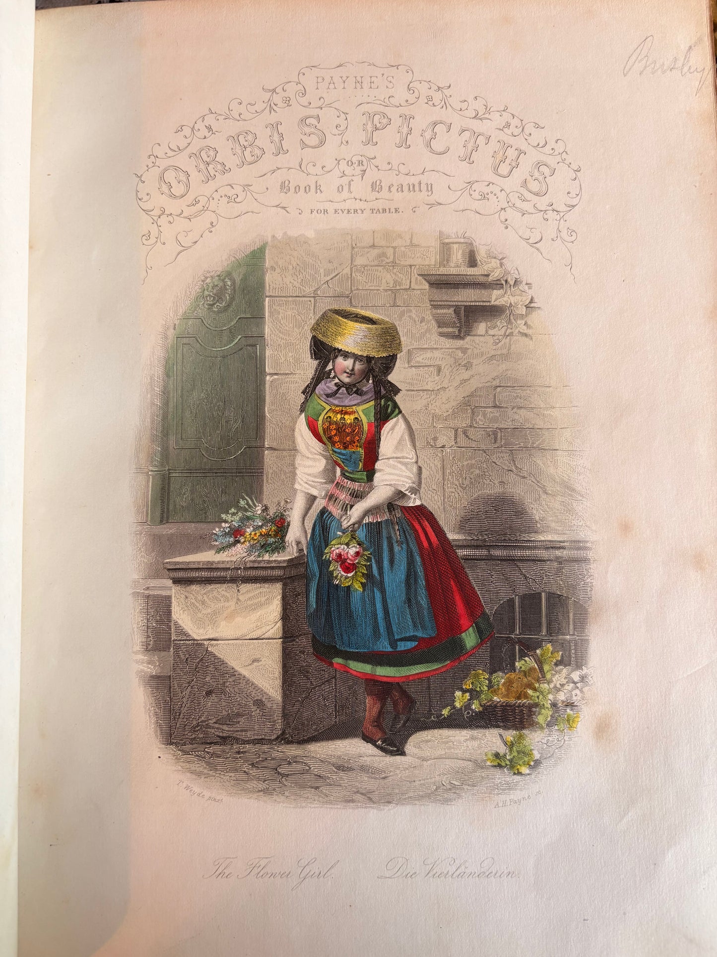 1851 Payne's Orbis Pictus or Book of Beauty for Every Table by Albert Henry Payne