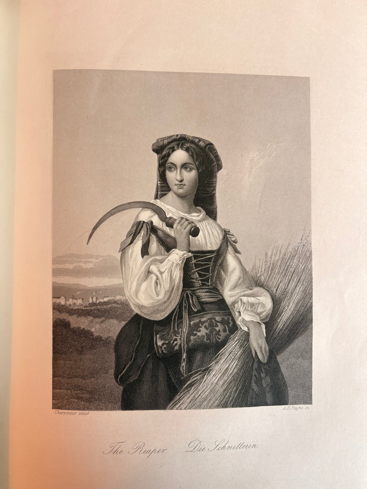 1851 Payne's Orbis Pictus or Book of Beauty for Every Table by Albert Henry Payne
