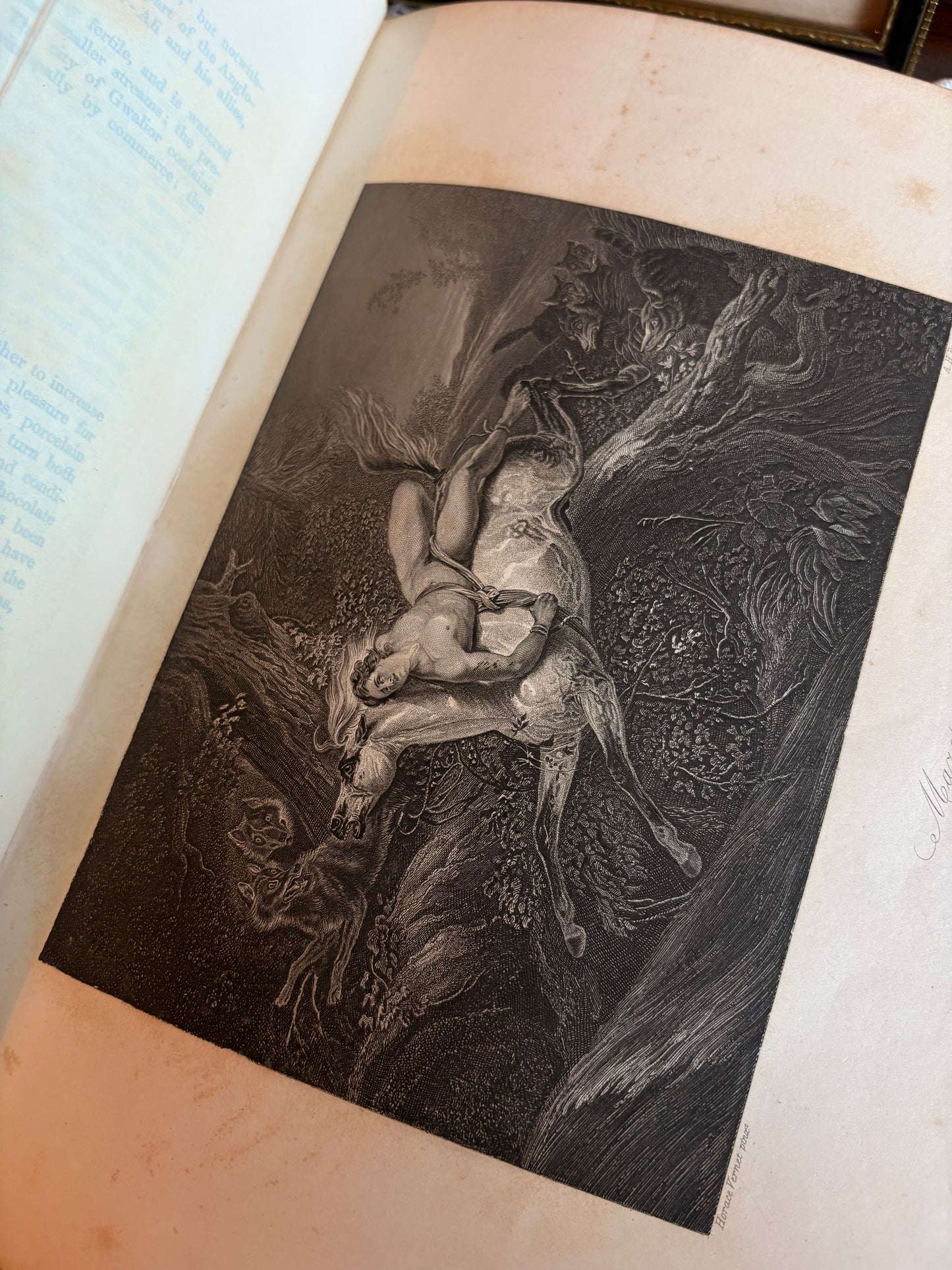 1851 Payne's Orbis Pictus or Book of Beauty for Every Table by Albert Henry Payne