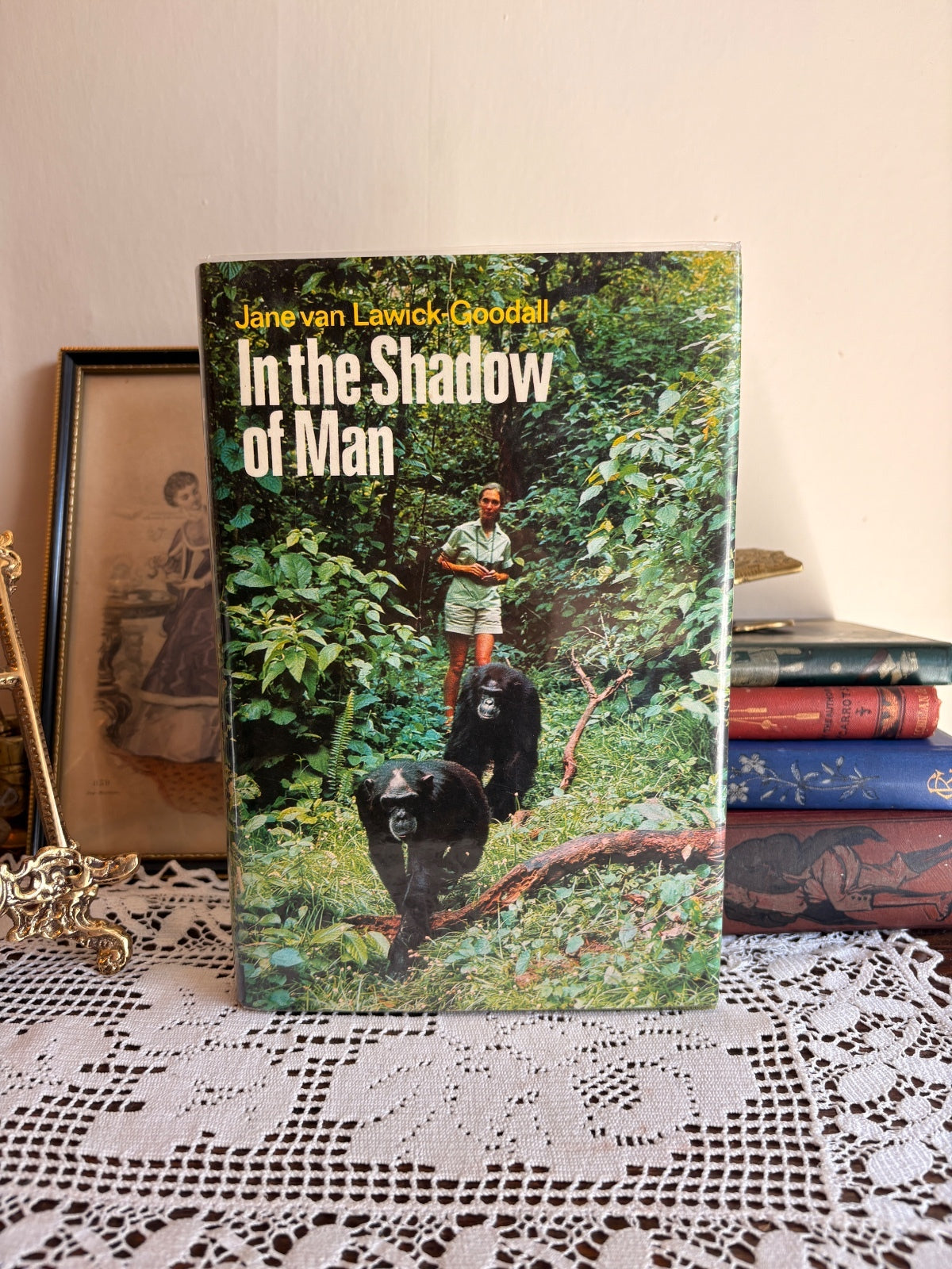 1971 In the Shadow of Man by Jane van Lawick-Goodall - First Edition
