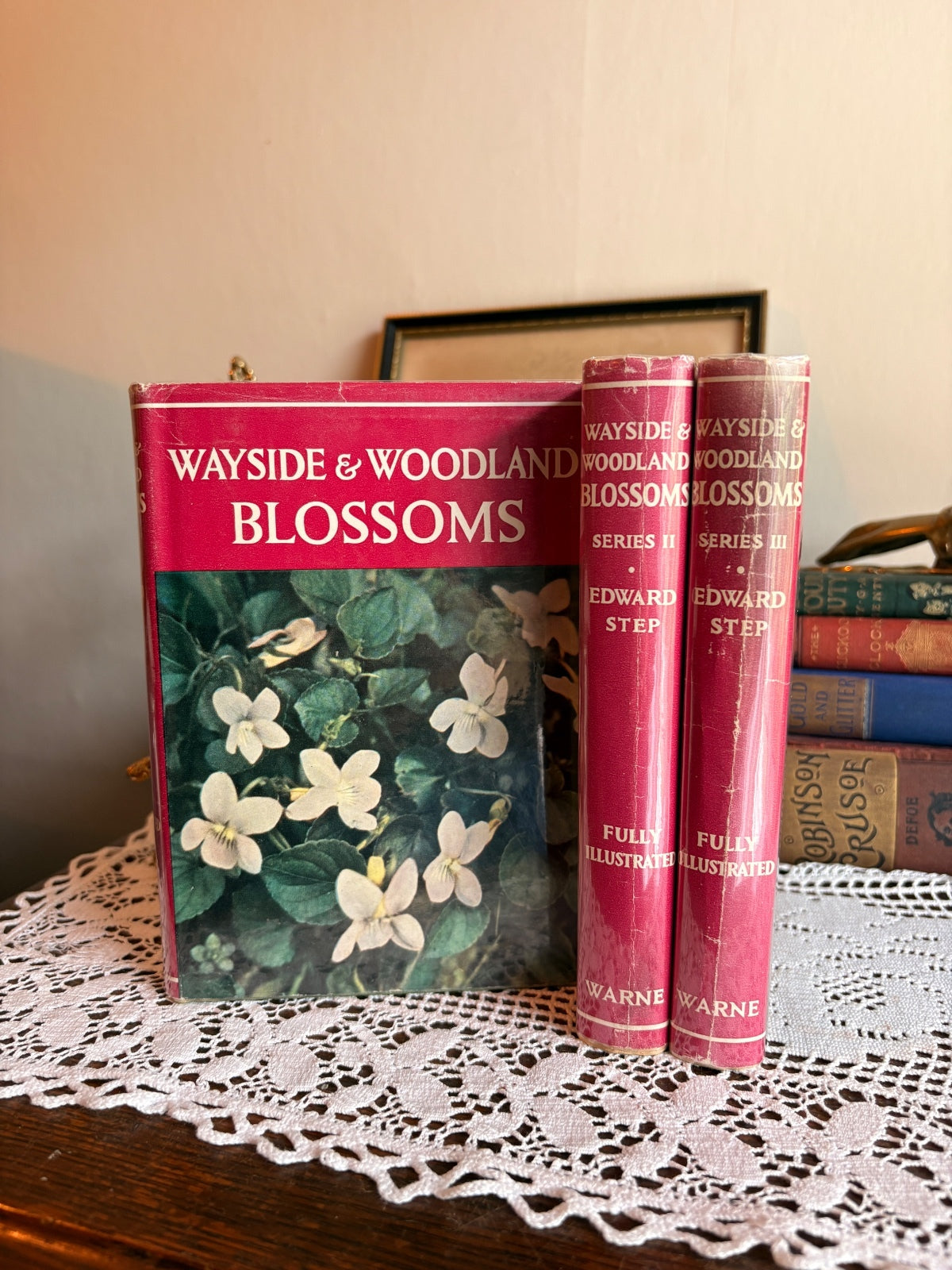 1963 Wayside and Woodland Blossoms [Series I-III] by Edward Step Botany Books