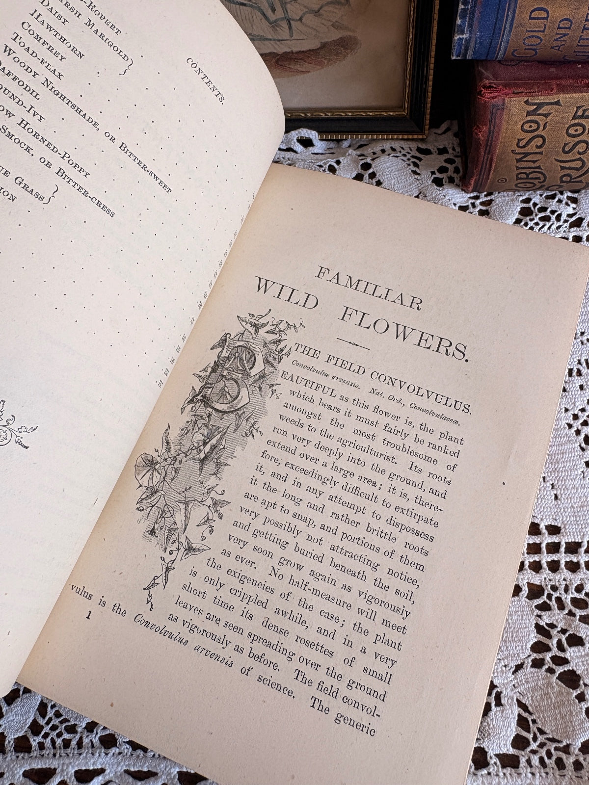C1880 Familiar Wild Flowers First, Second and Third Series by F. Edward Hulme