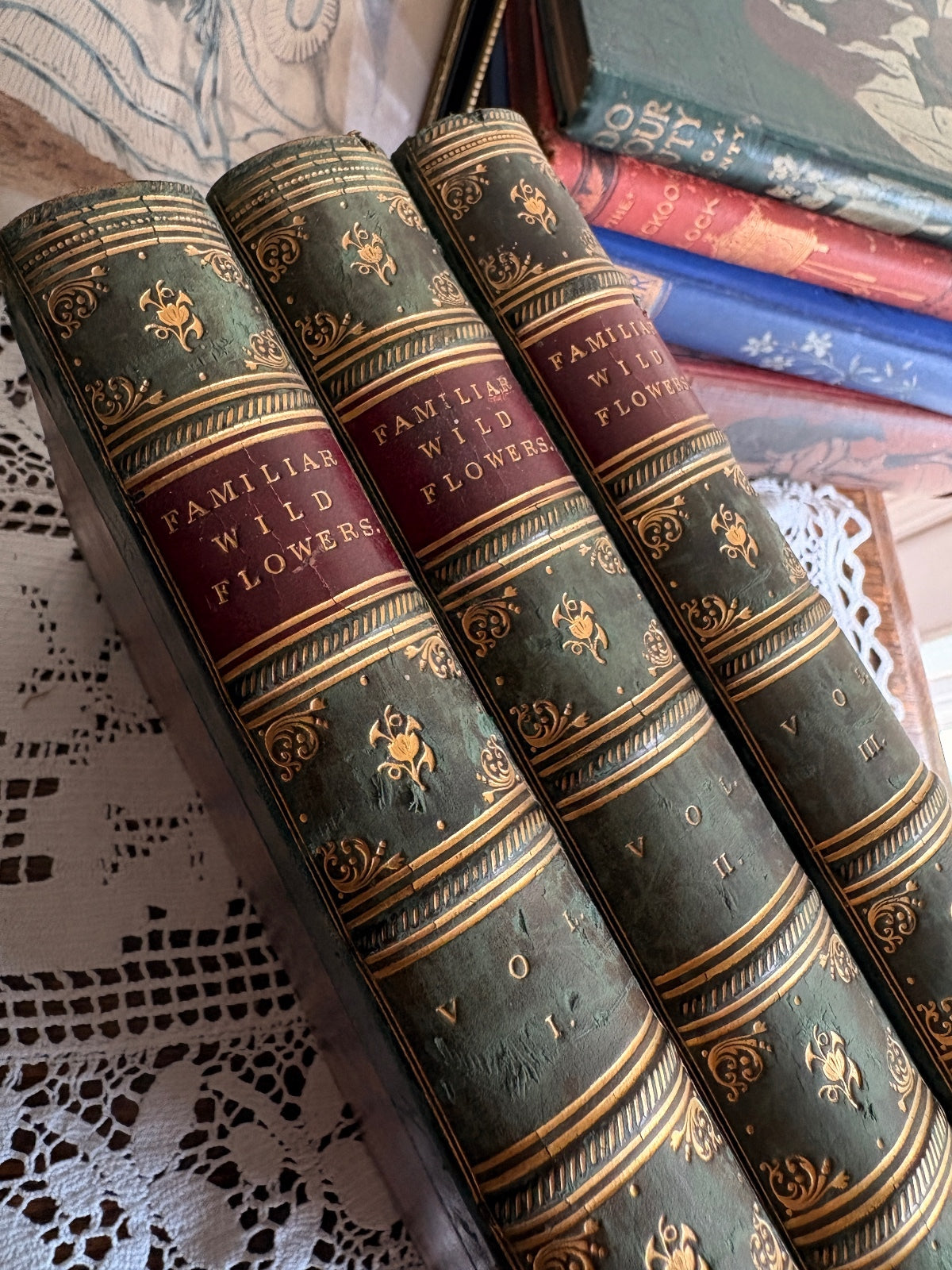 C1880 Familiar Wild Flowers First, Second and Third Series by F. Edward Hulme