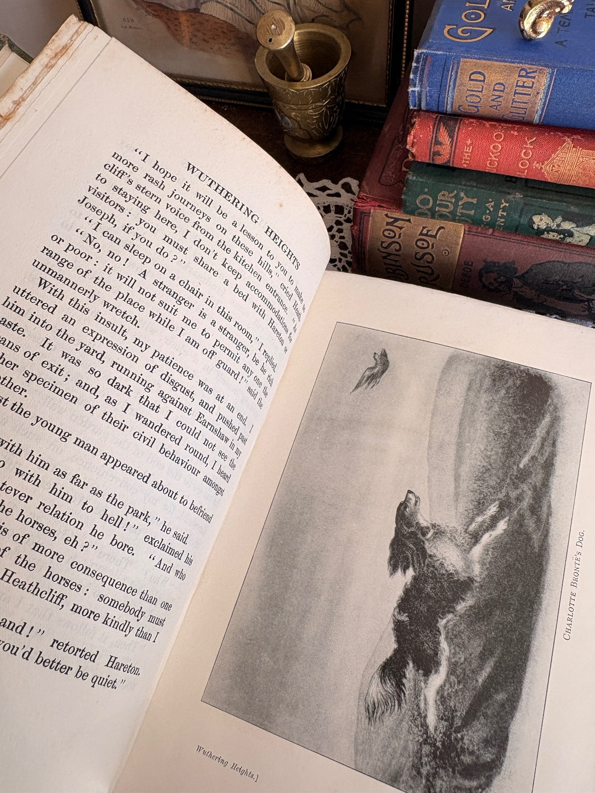 1905 Novels of the Sisters Bronte. Thornton Edition [Complete In Twelve Volumes]