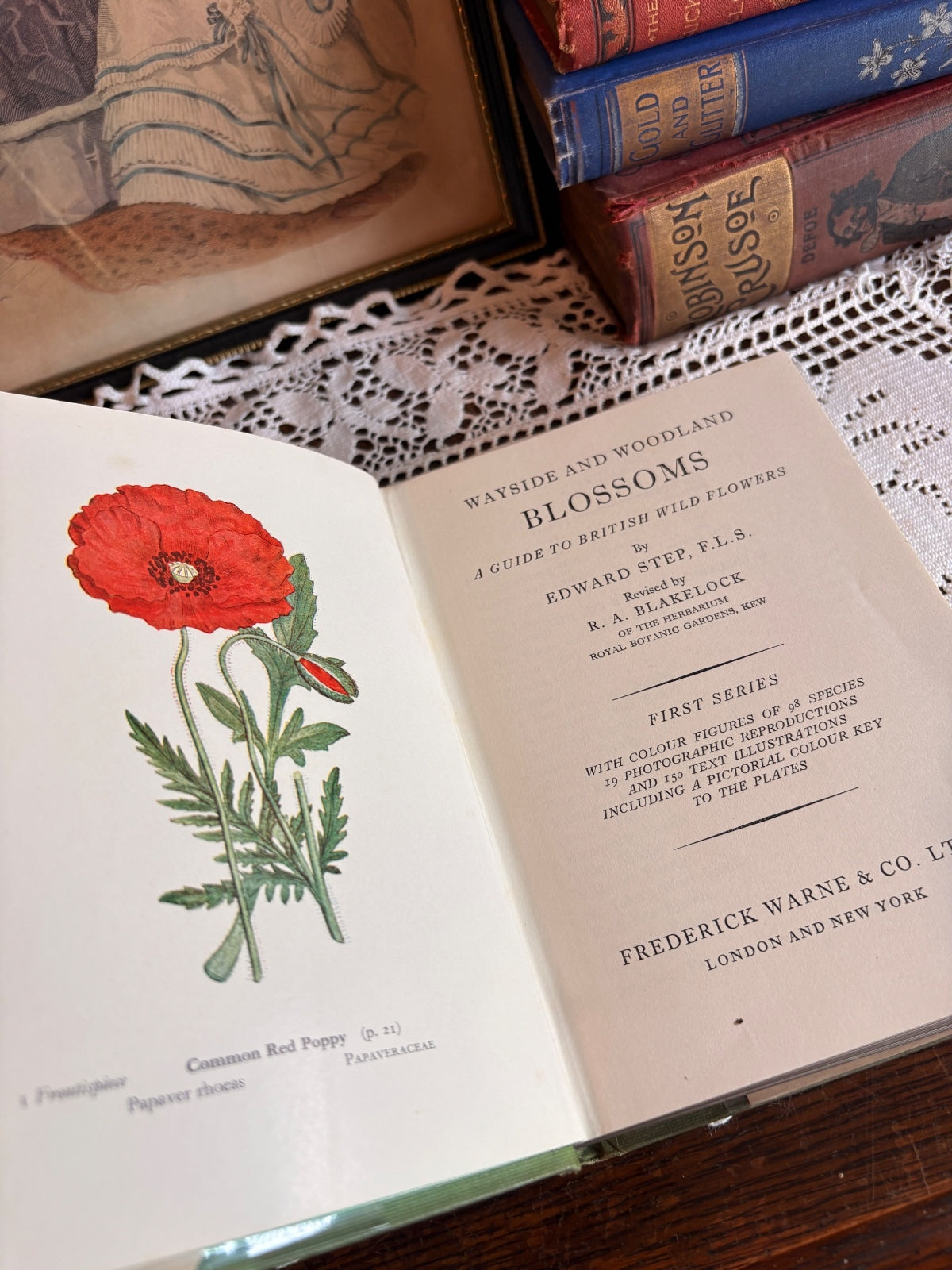 1963 Wayside and Woodland Blossoms [Series I-III] by Edward Step Botany Books