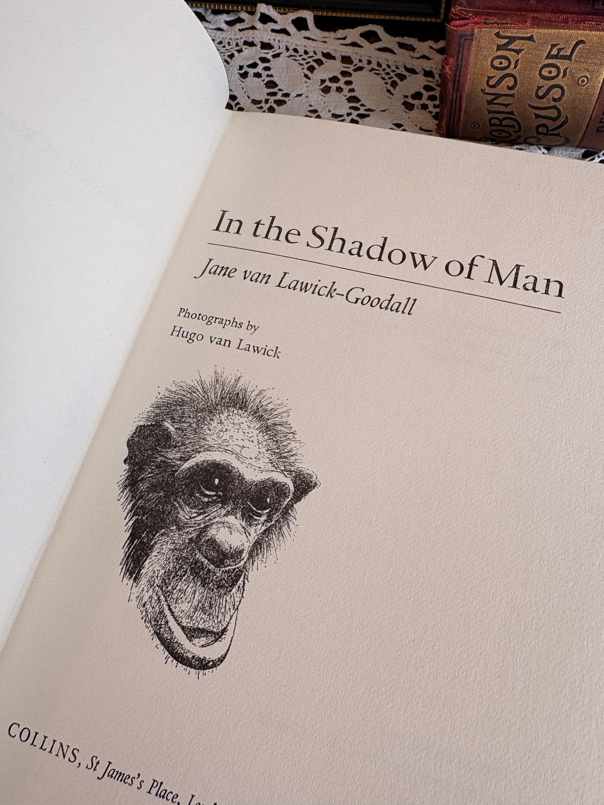 1971 In the Shadow of Man by Jane van Lawick-Goodall - First Edition