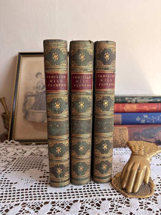 C1880 Familiar Wild Flowers First, Second and Third Series by F. Edward Hulme