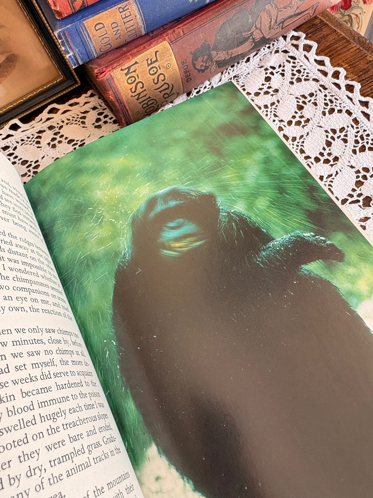 1971 In the Shadow of Man by Jane van Lawick-Goodall - First Edition