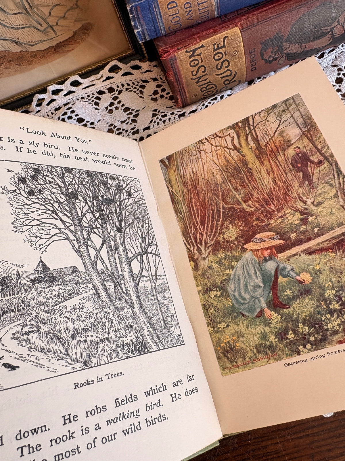 1907 The Look About You Nature Study Books [Vols I-VI] by Thomas W. Hoare