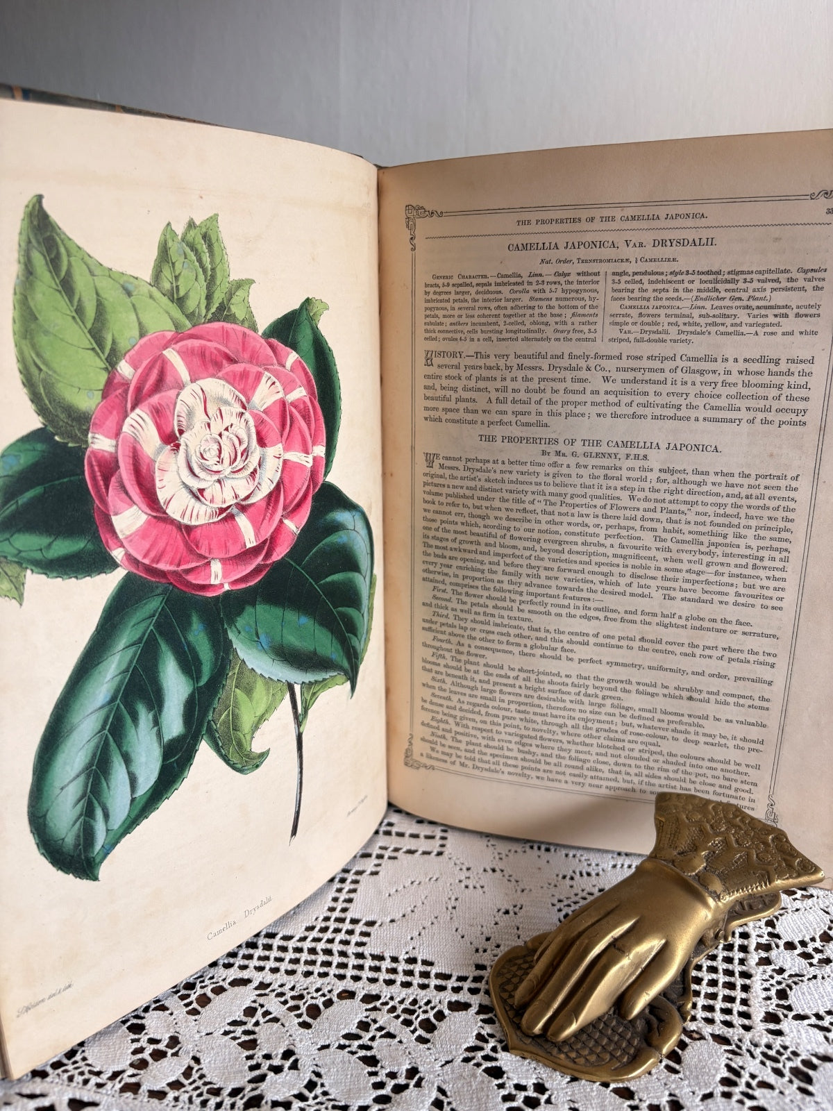 1850 The Florist's Guide by William P. Ayres and Thomas Moore - First Edition