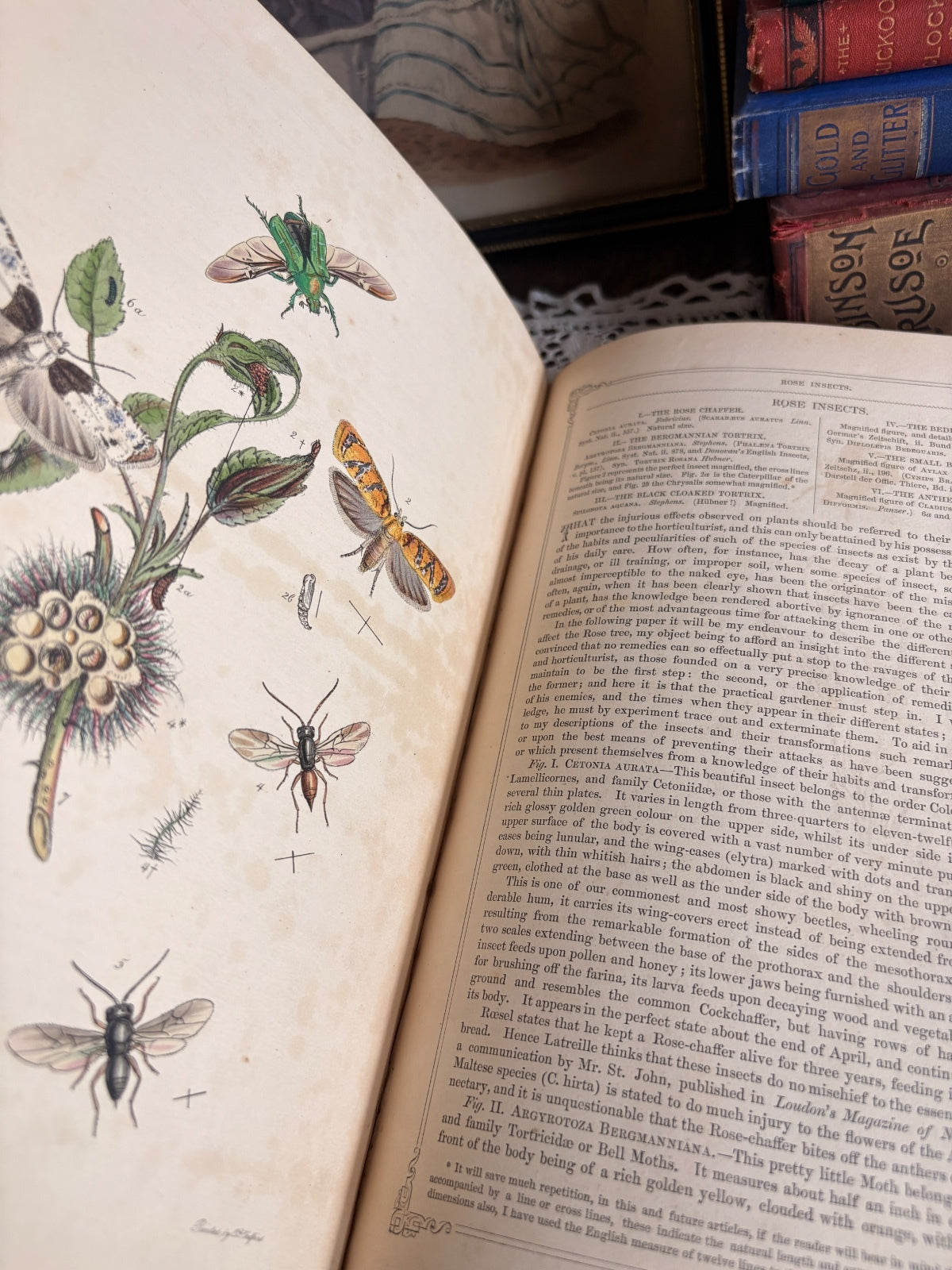 1850 The Florist's Guide by William P. Ayres and Thomas Moore - First Edition