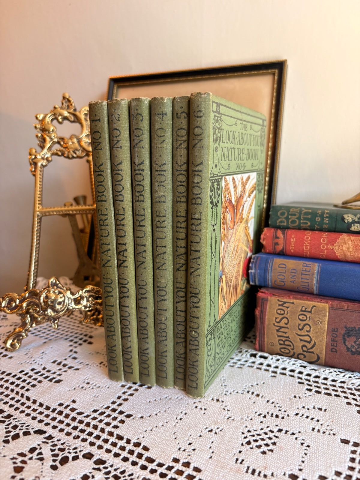 1907 The Look About You Nature Study Books [Vols I-VI] by Thomas W. Hoare
