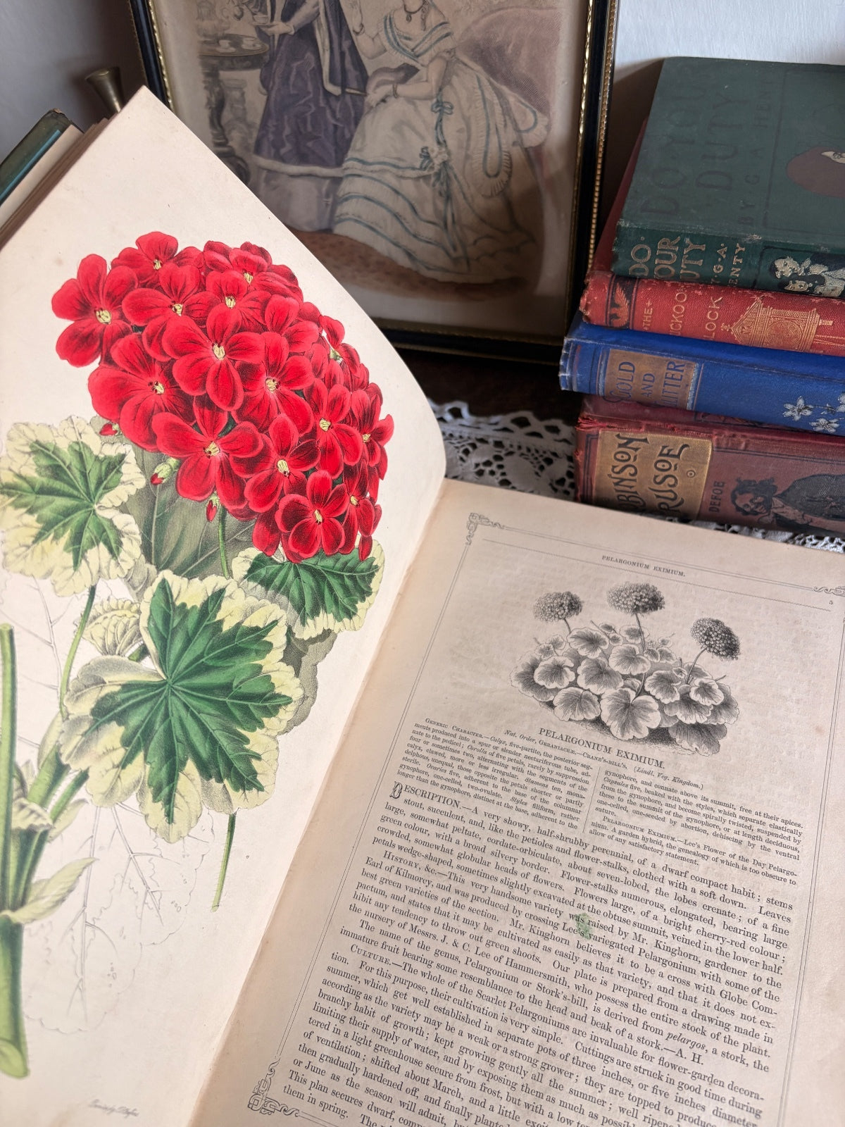 1850 The Florist's Guide by William P. Ayres and Thomas Moore - First Edition