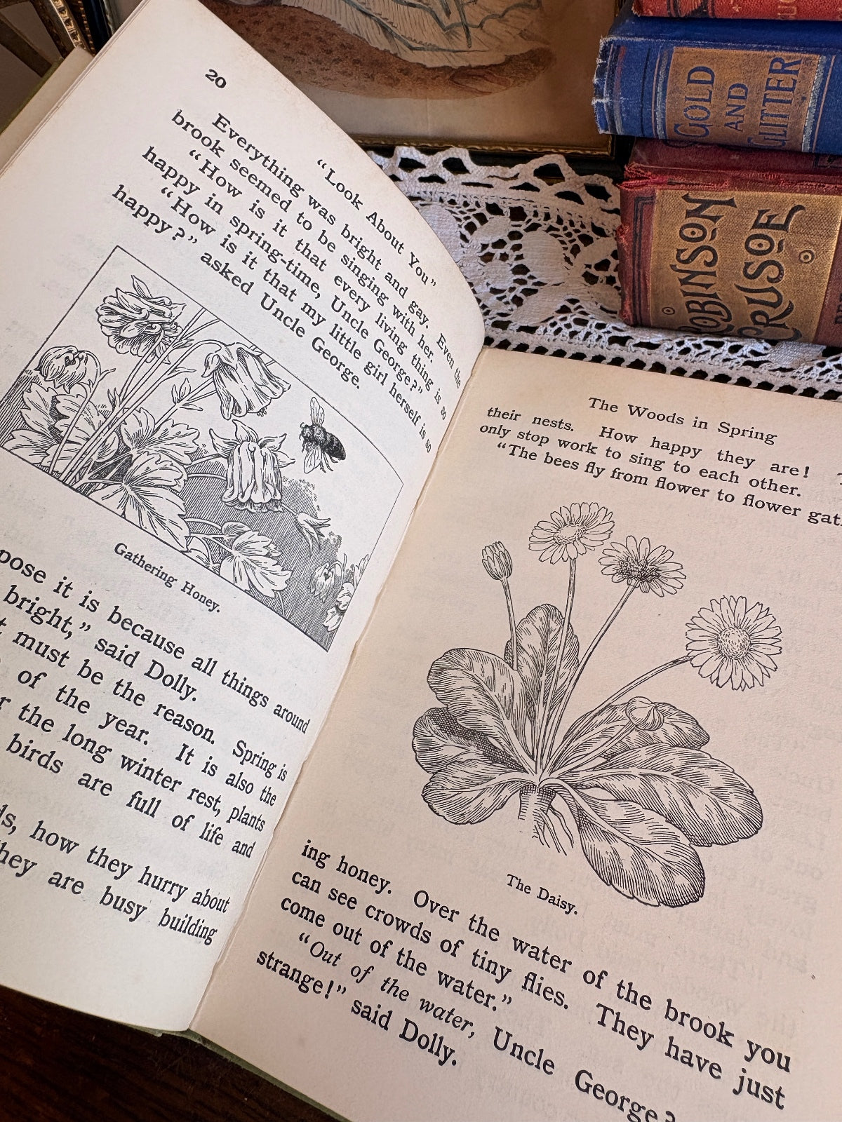 1907 The Look About You Nature Study Books [Vols I-VI] by Thomas W. Hoare