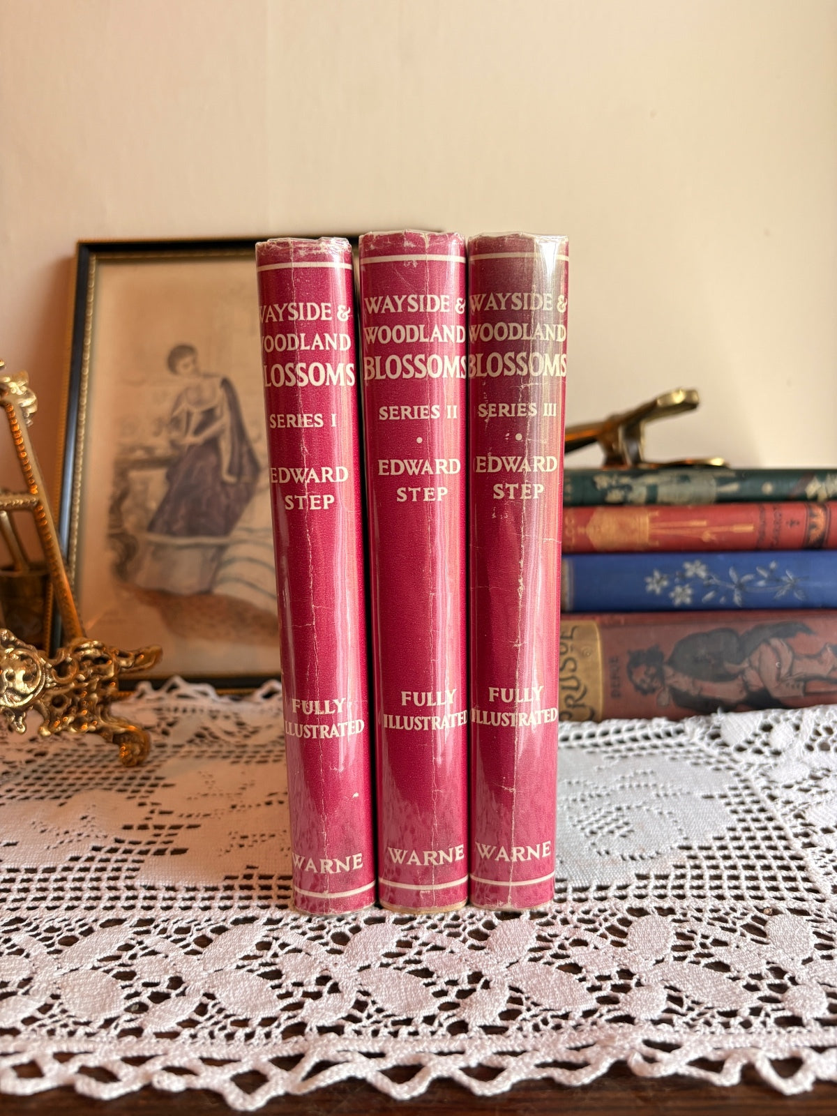 1963 Wayside and Woodland Blossoms [Series I-III] by Edward Step Botany Books