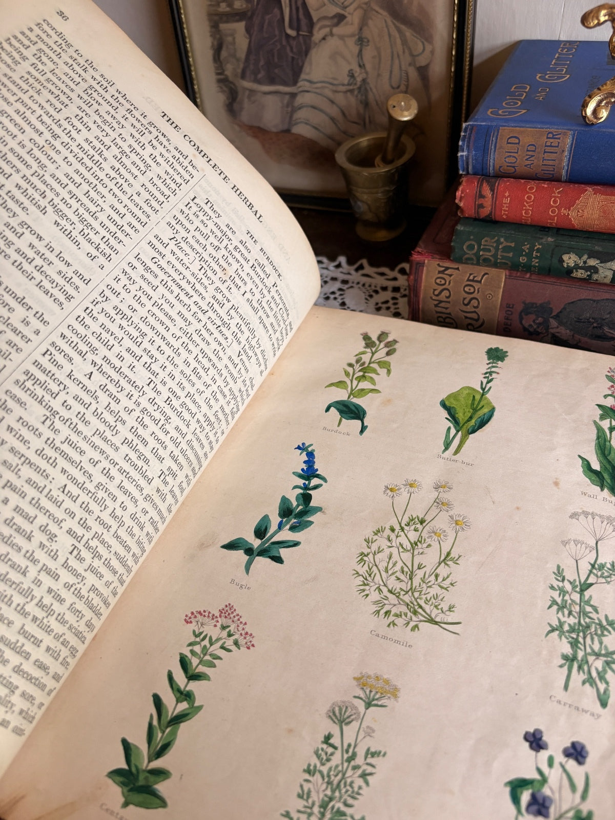 1847 The Complete Herbal [etc.] by Nicholas Culpeper