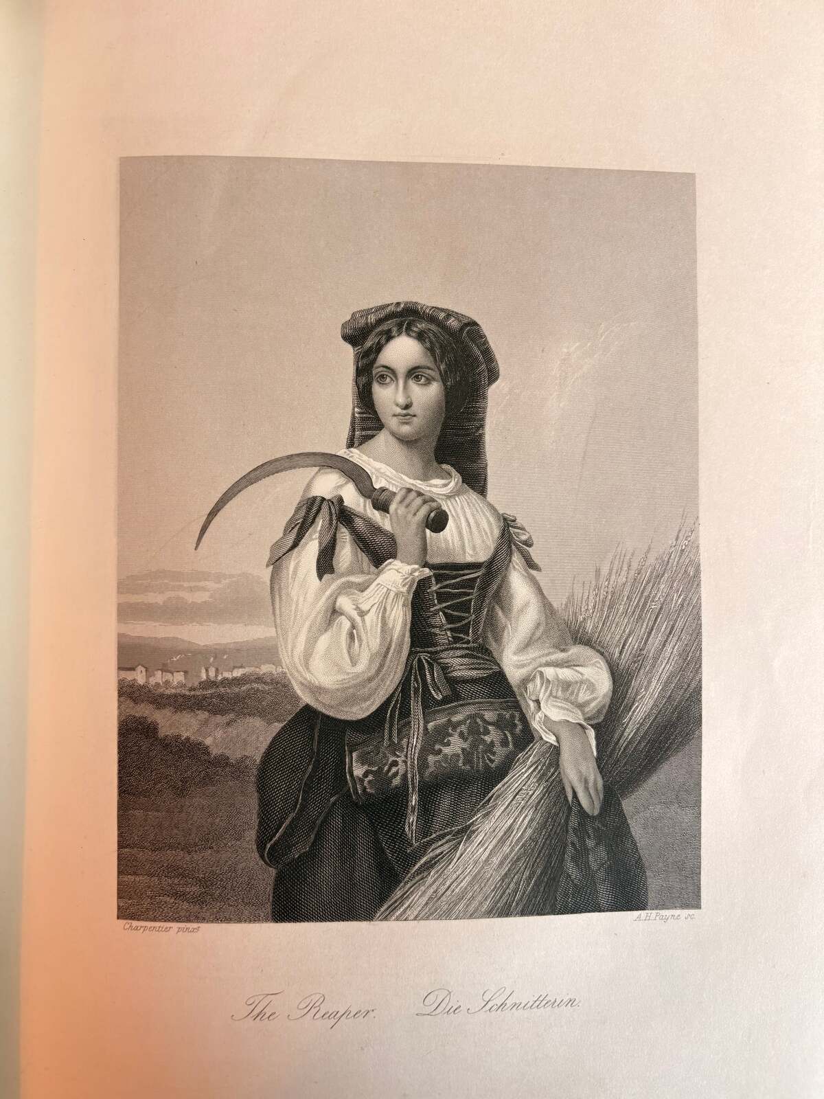 1851 Payne's Orbis Pictus by Albert Henry Payne