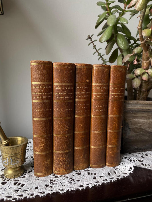 1870s The Life and Works of Charlotte Bronte and her Sisters [5 of 7 Volumes]